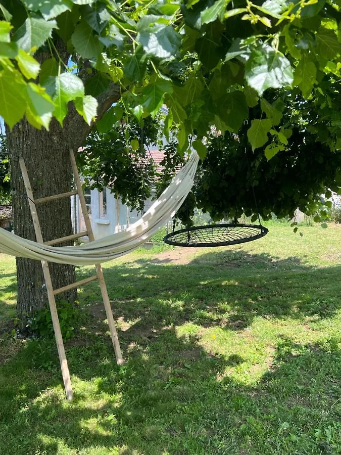 Jolie Maison Cosy, Grand Jardin, En Bordure De La Via Fluvia Yssingeaux France