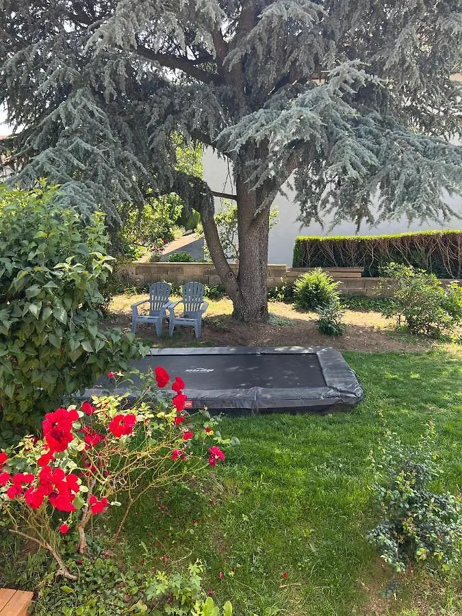 Villa Jolie Maison Cosy, Grand Jardin, En Bordure De La Via Fluvia Yssingeaux